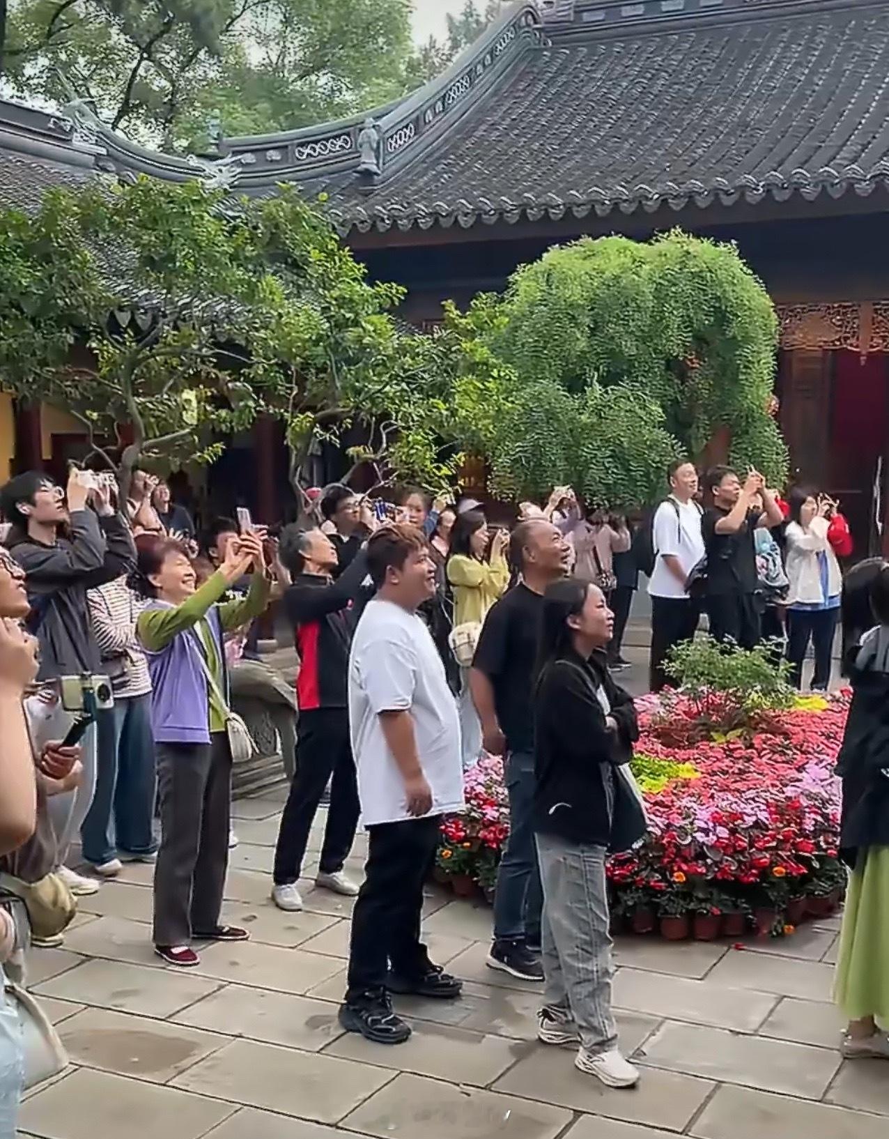 寒山寺猫咪吵架回头全是人 西安·华严寺