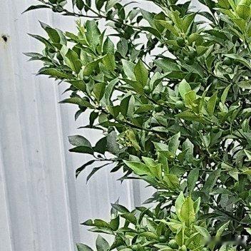 感情里最大的遗憾从不是走散，而是双方尚且满心牵挂，碍于自尊不肯让步，固执等候对方