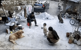 追风被吓退现场：别过来，我可受不起你的这声“爸爸”！