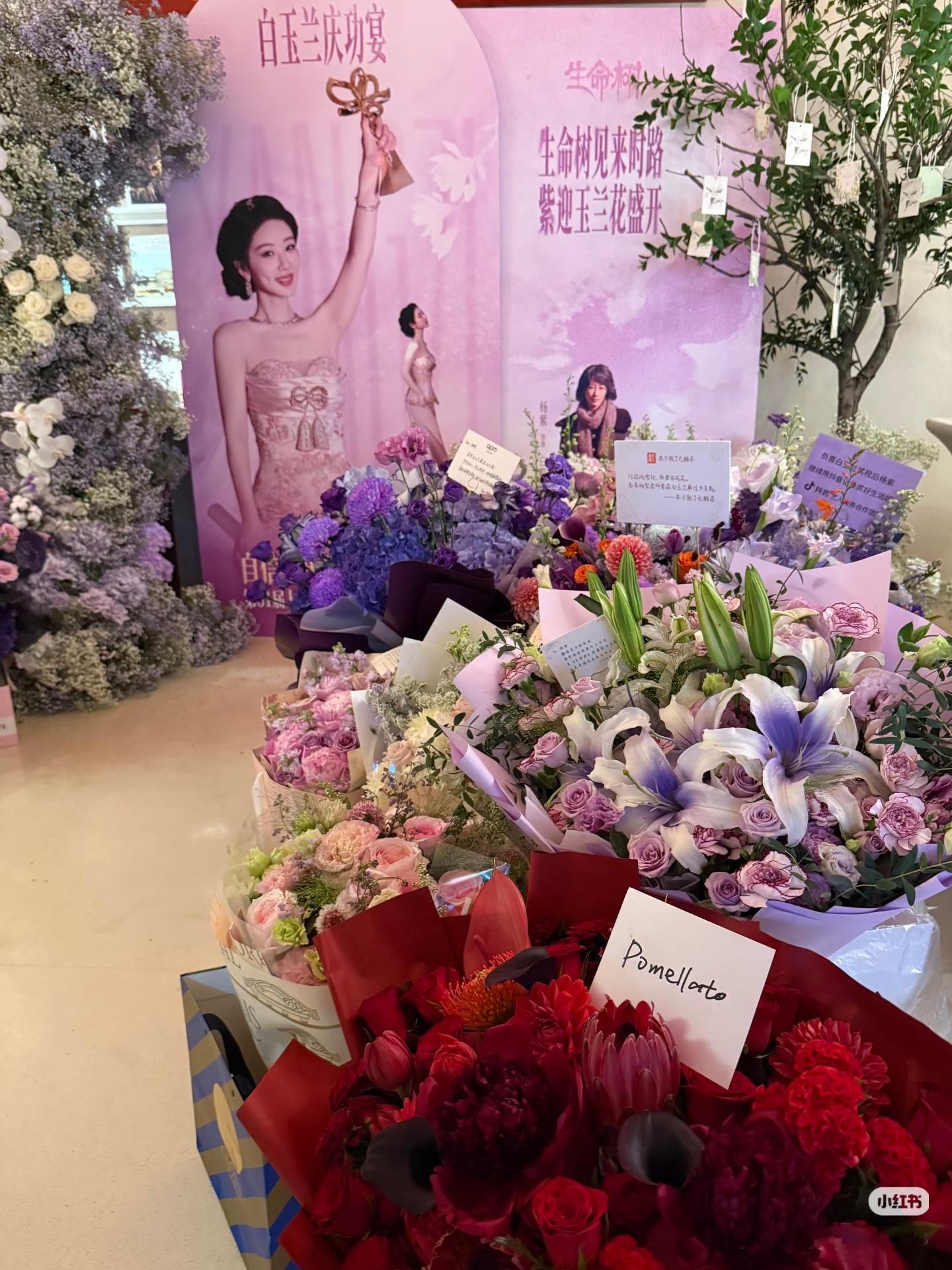 杨紫杨紫白玉兰庆功宴恭喜杨紫成为白玉兰史上首位连续三年提名并最终获奖的90后视后