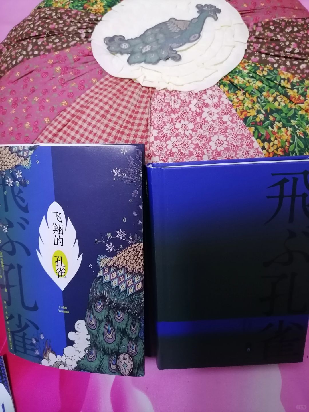 探索未知，解读命运