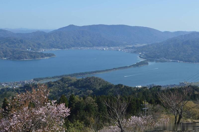 惊！黑熊“横渡”日本名胜天桥立 警方监控6小时后麻醉捕获海外新鲜事 日本近期熊类