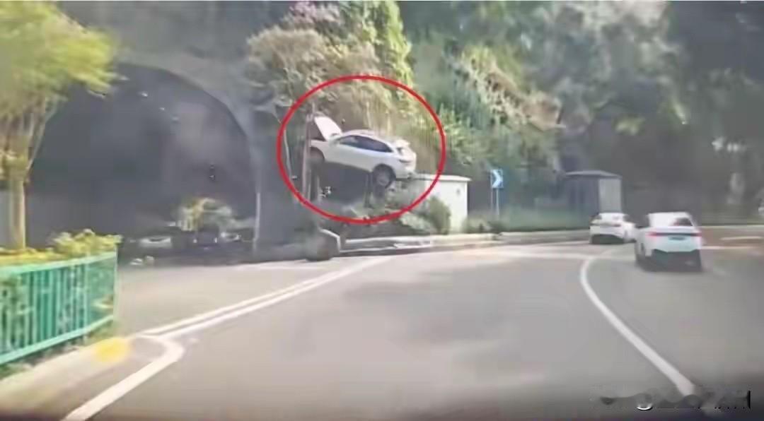 重庆一司机，
开车经过隧道口，
突然看见前方SUV，
腾空“飞”到了树上……
这