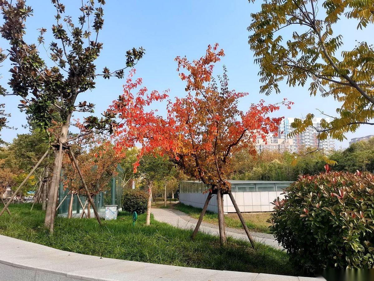 我跟你说个事儿，听完别emo。
我认识一老师，就上个月，55岁，退休了。副高，你