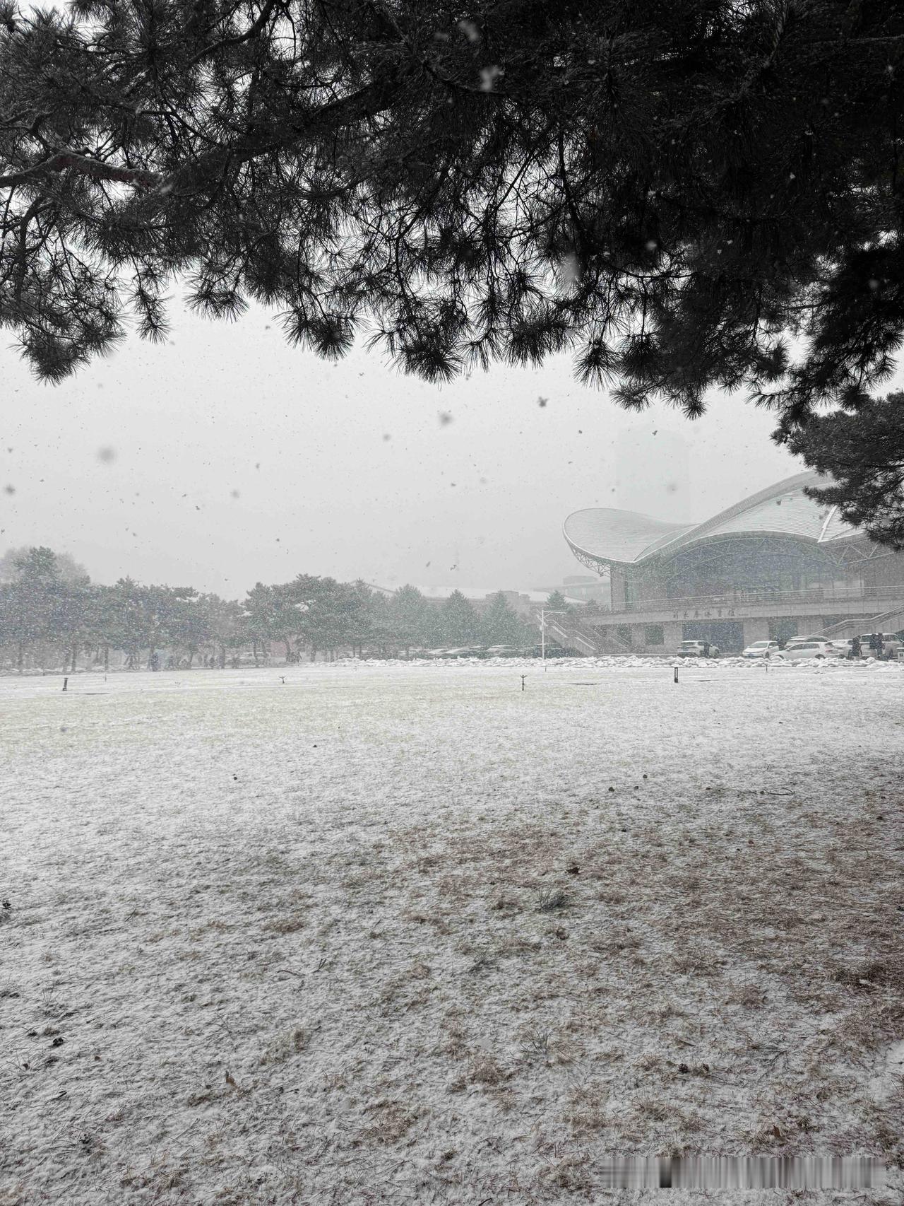 沈阳：正月十五下大雪，下得天昏地暗！