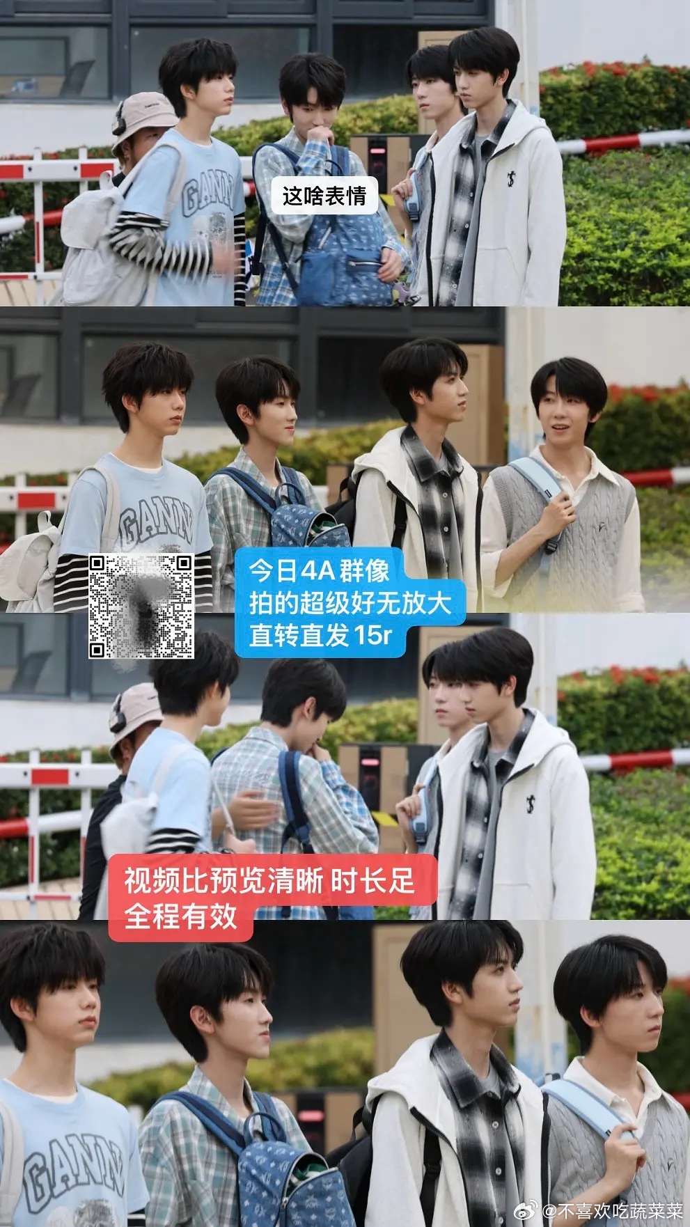 tg 4a的下颌来来回回的 