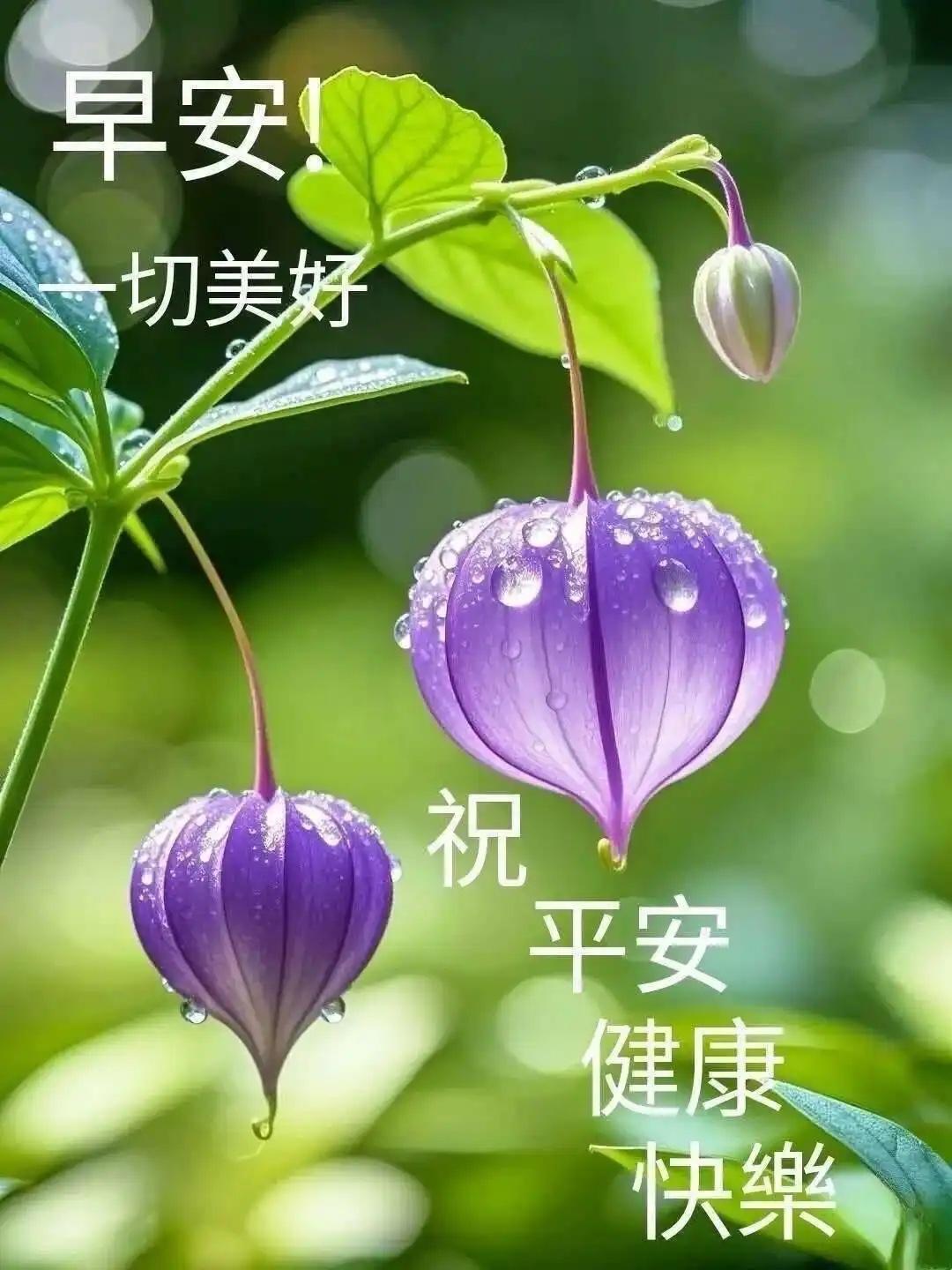 经常生气会生病，
心态必须要稳定。
难得糊涂少较真，
生气会要你的命！