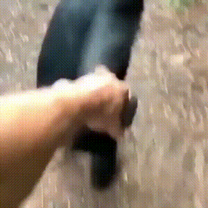 跟俺走吧,现在就出发
