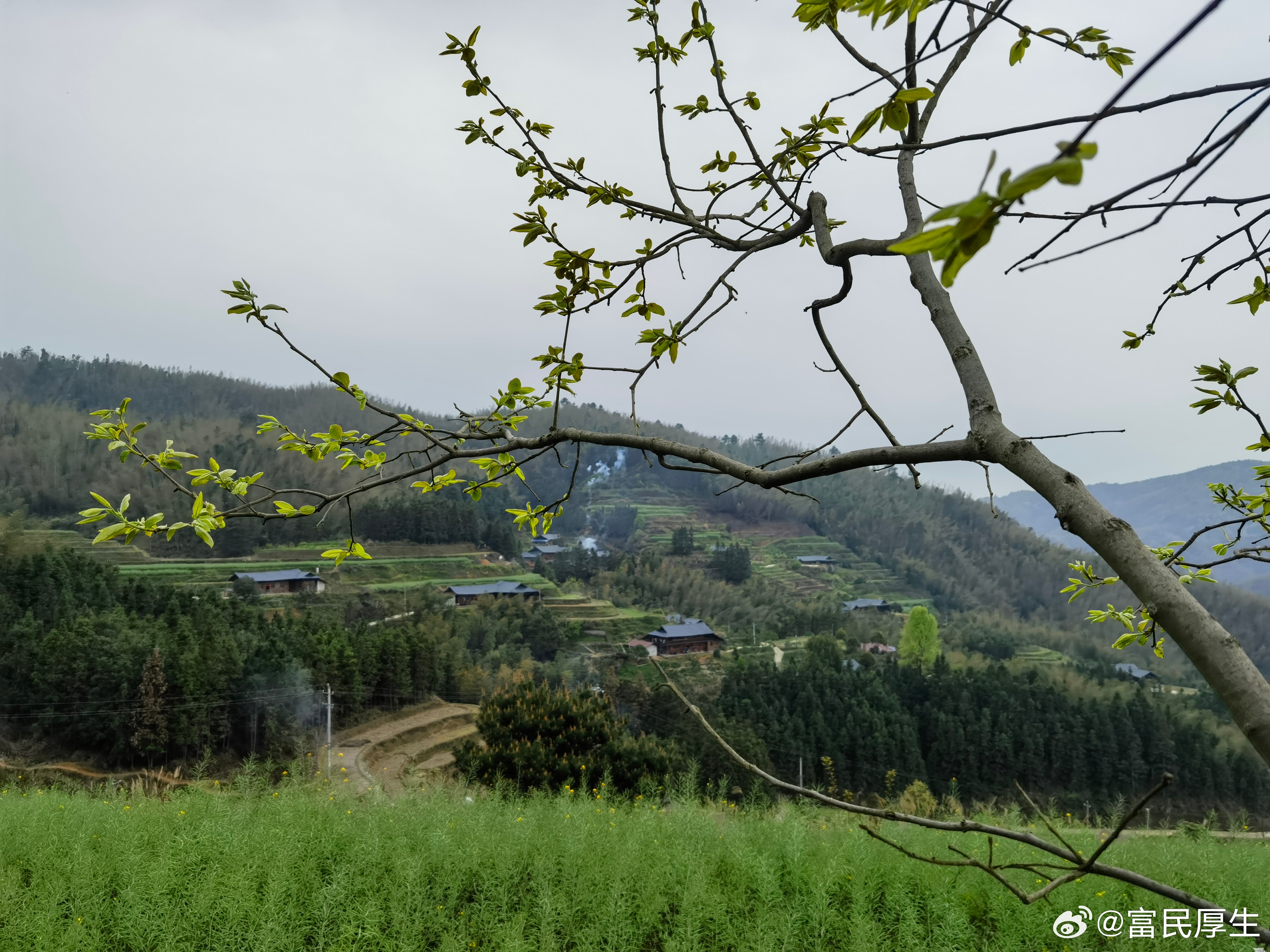 望江南·上春山春未老，风细柳斜斜。试上楠山台上看，半溪春水数垅花。烟雨暗千家。新