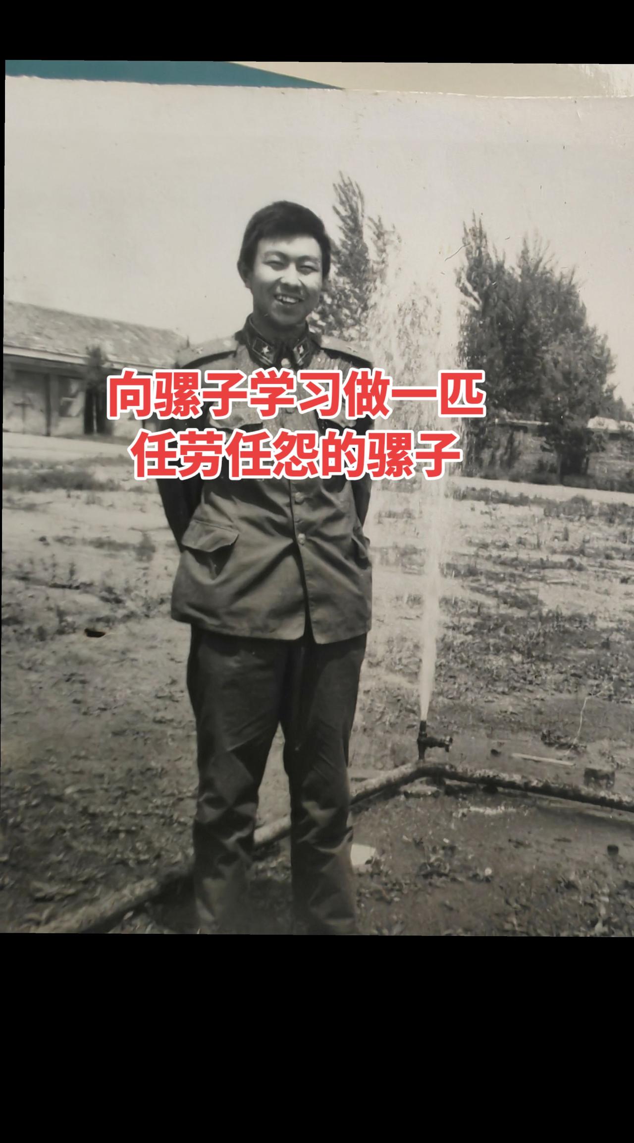 （军旅回忆38）向立过战功的骡子学习。真实生活分享计划 （军旅回忆38）向骡子学