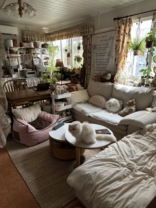 在20平懒人专属小窝里“躺平 ” ˚🦦∗