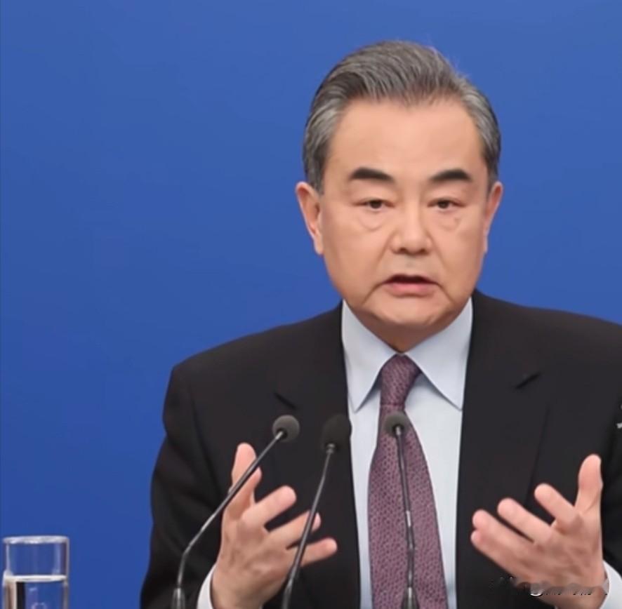 王毅:欧洲不能做一个旁观者不应该是在菜单上，而更应该是在餐桌上。
我认为这句话分