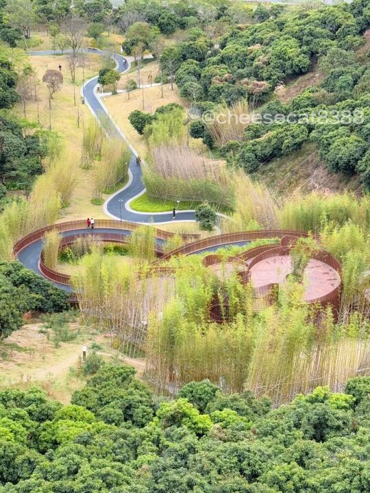 光明科学公园 | 探秘未来科技绿洲🌲
