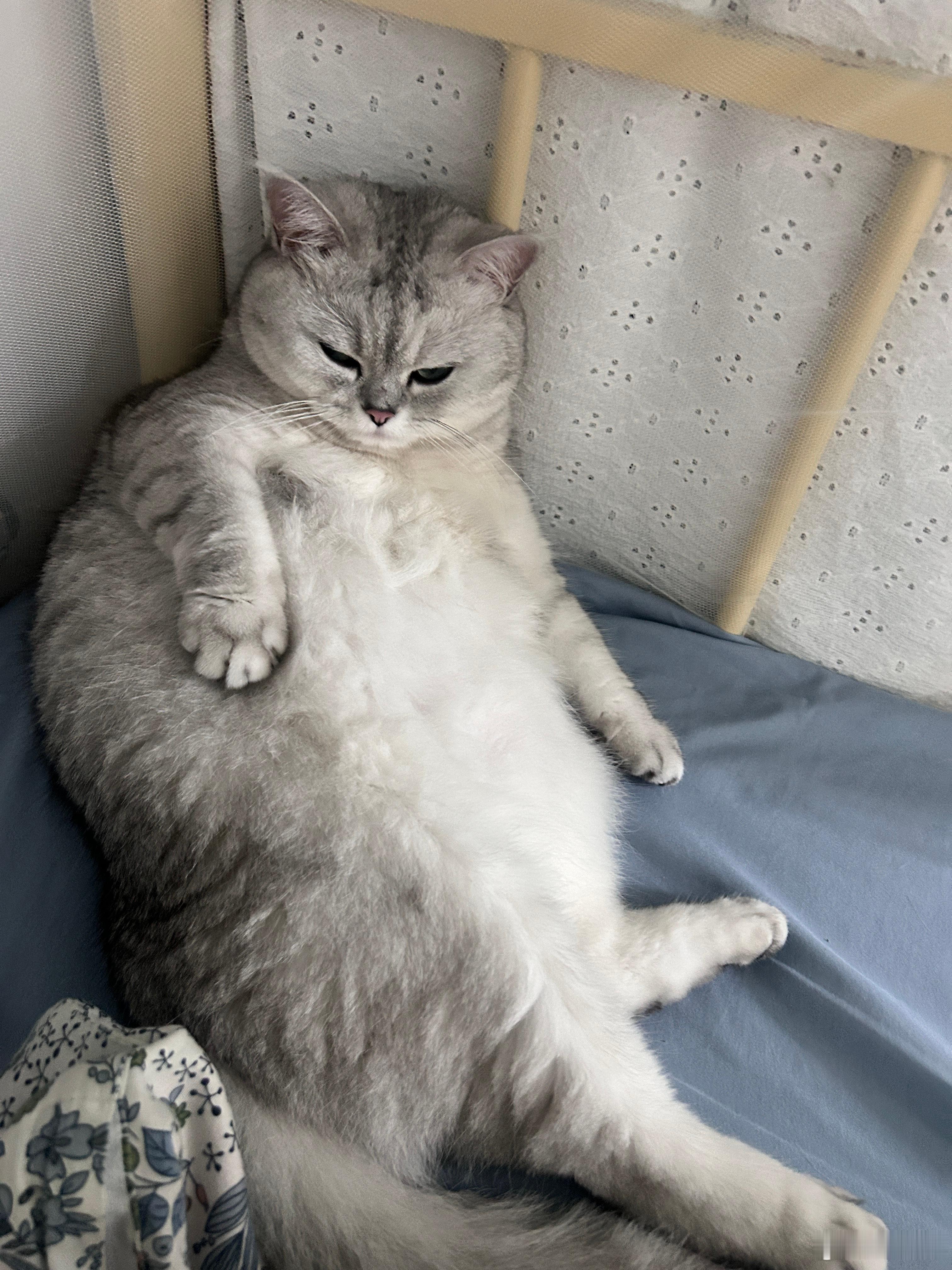 躺的太平，那肯定是不行的！长时间躺姿会造成后背酸痛，还会增加肺部感染的风险，不管