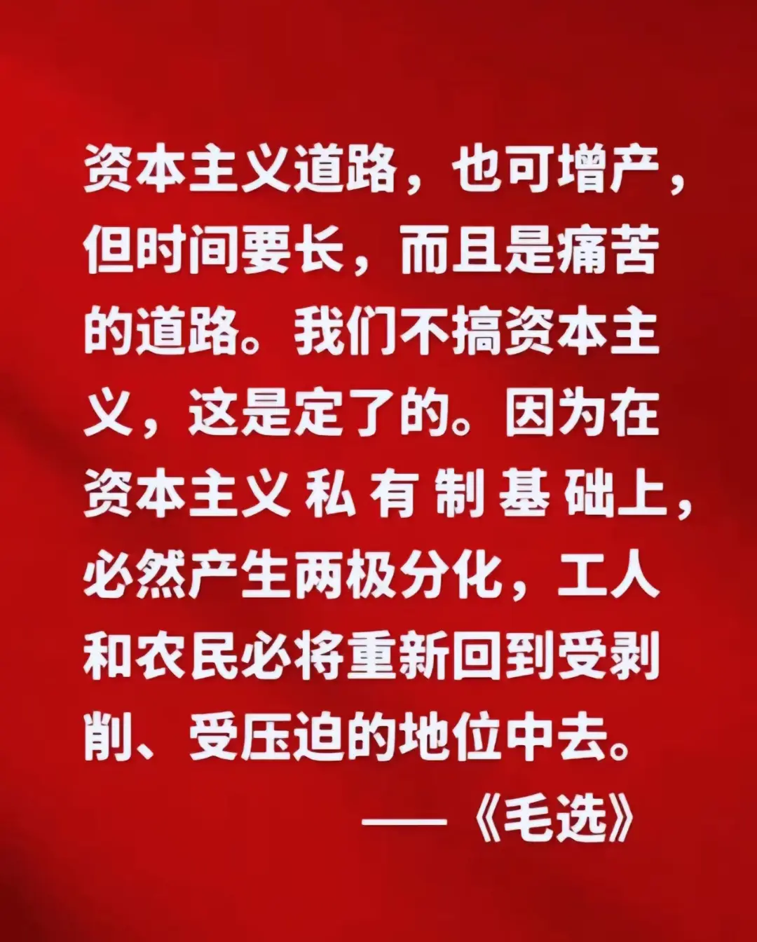 毛选