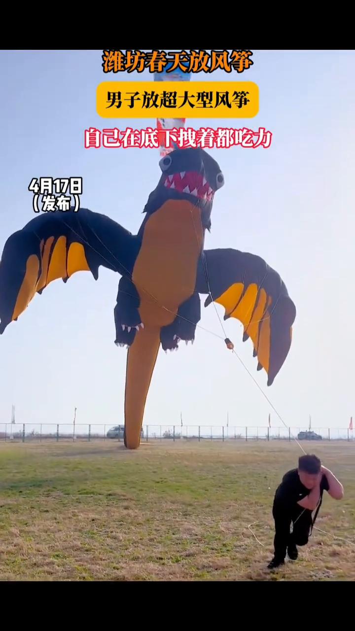 潍坊春天放风筝，男子放超大型风筝，自己在底下拽着都吃力。
4月17日，潍坊。