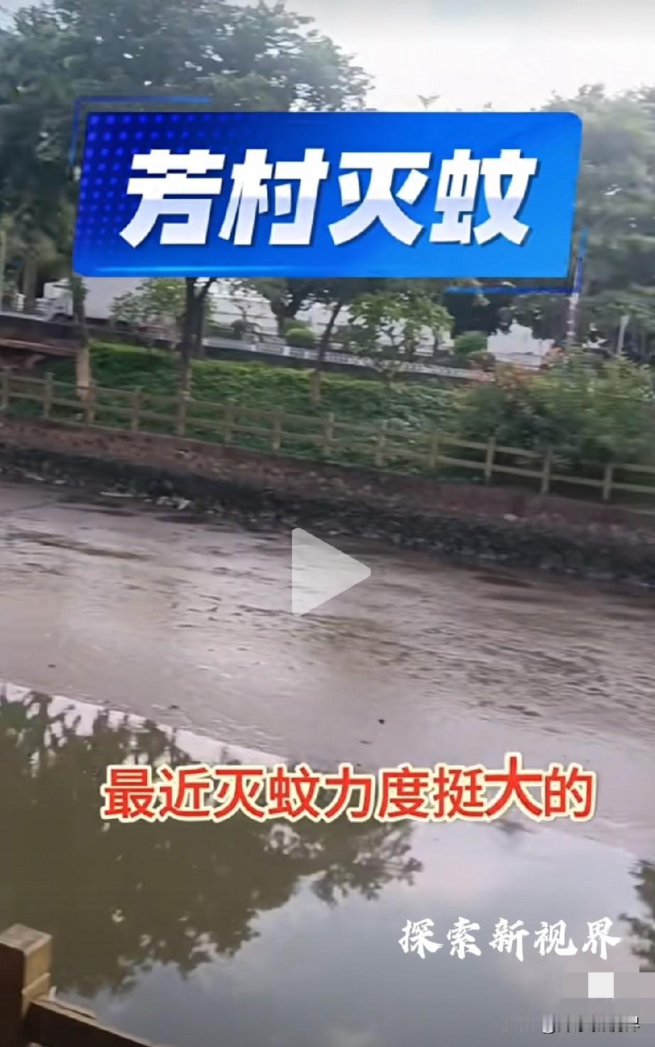“广州已经不是原来的广州了吗？”2025-2026 珠三角防基孔肯雅热、登革热，