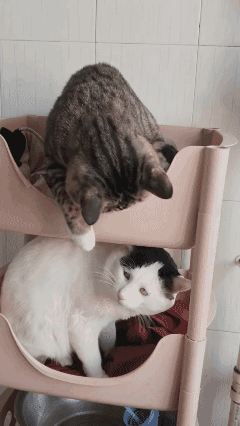 他们都走了，
你赶紧上来吧！