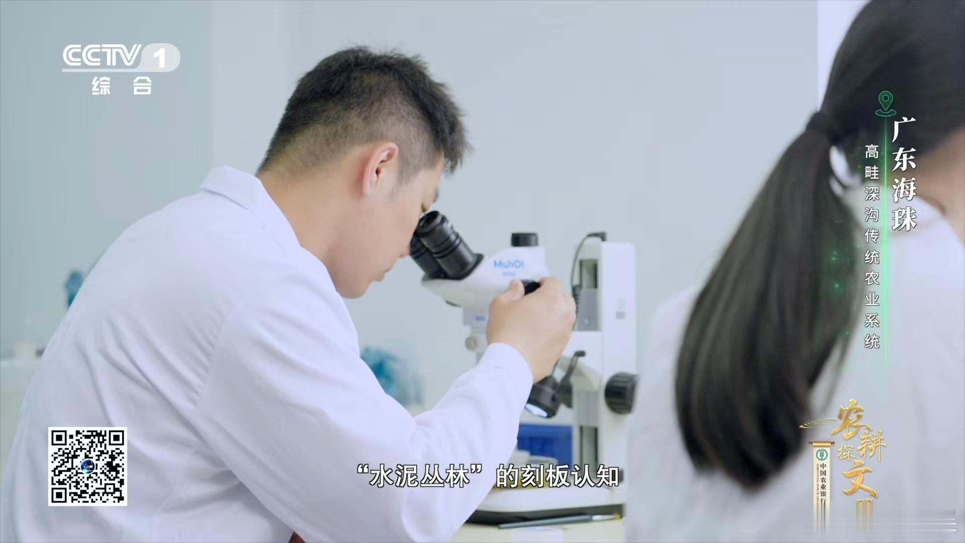 广东近年发现多个新物种广东的生态画卷中，比芝麻还小的海珠微瓢虫是一抹灵动的色彩。