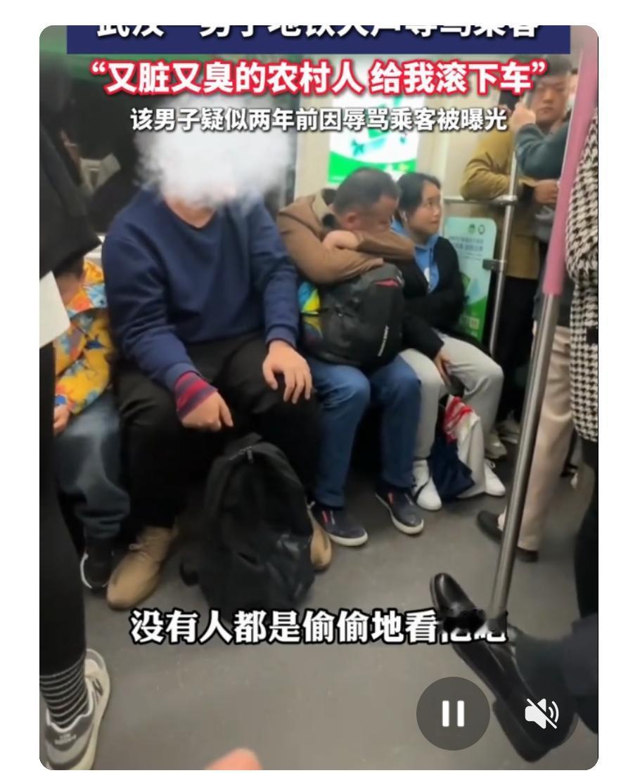 武汉地铁惊现“活雷锋”？不，是“活火山”！一男子居然大声辱骂乘客：“又脏又臭的农