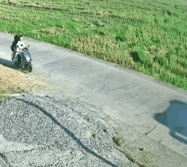 1 天呐！这两人估计以后都不敢碰车了！[震惊]
2 馒头的掰开方式不对，牛肉都不