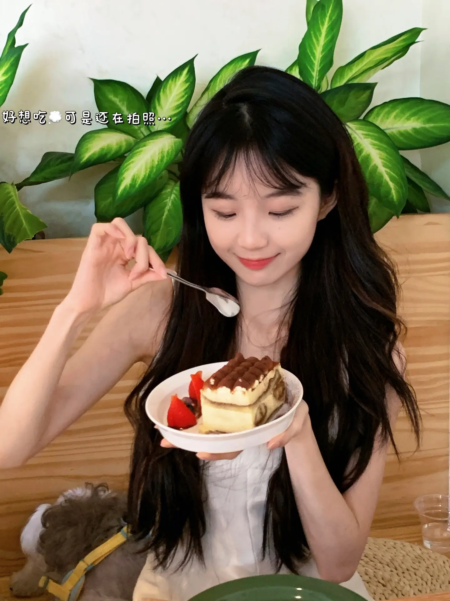 下午茶拍照拿捏·🥨·🐈·🍮。