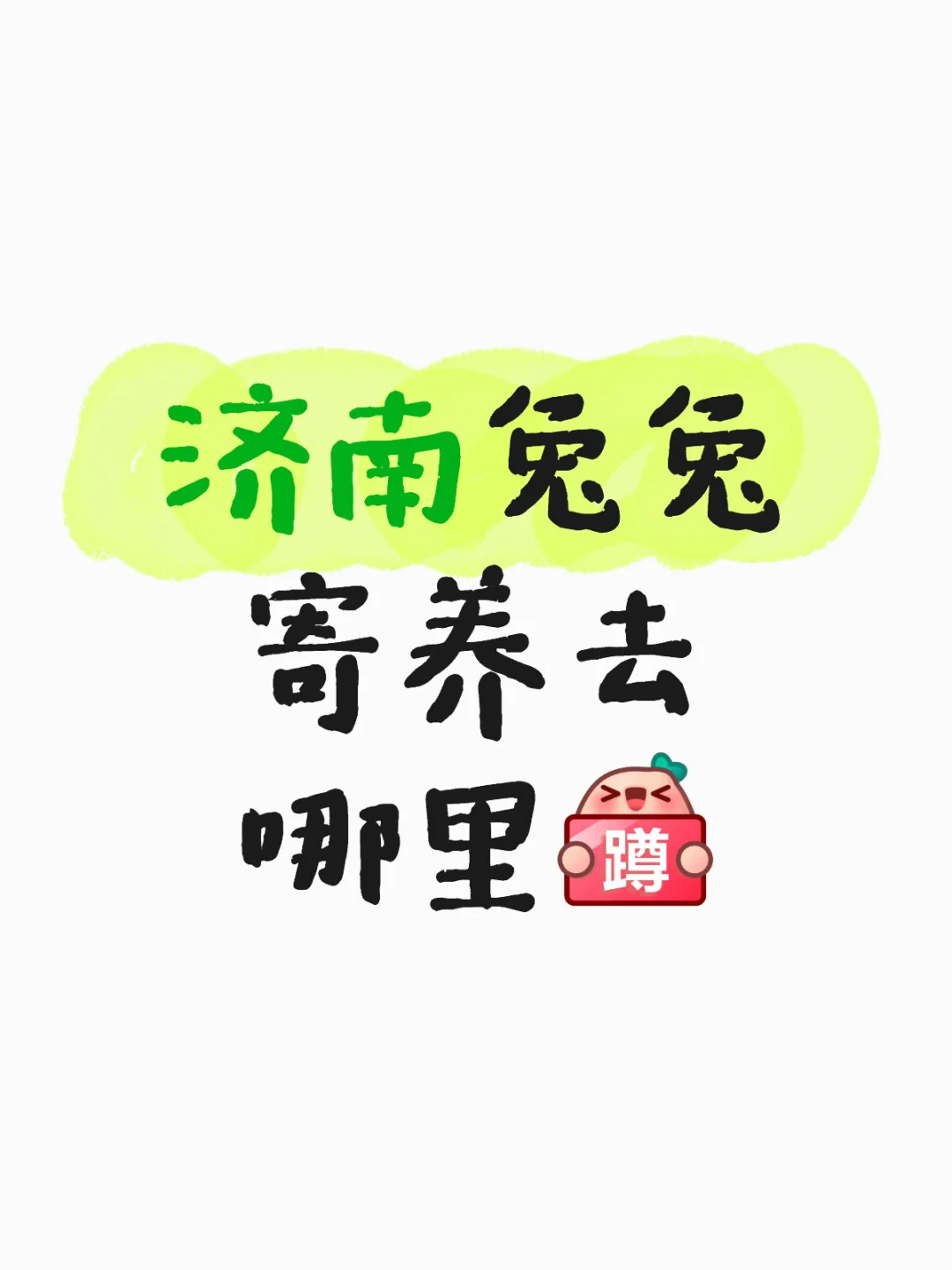 济南兔兔寄养去哪里[蹲后续H] 当然是来咚嗲幼儿园呀 纯兔兔寄养环境没...