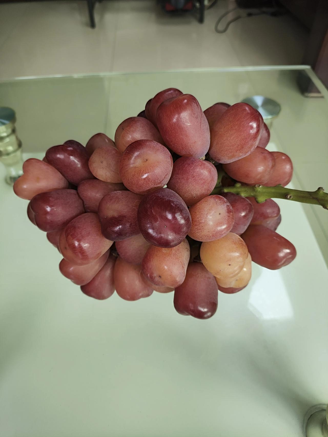 记清楚，中国和美国只是暂时

美国堵中国的心不死，原因是中国太优秀！
当资本主义