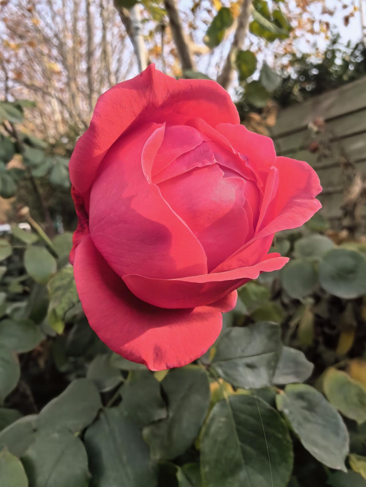 上坡挂什么四档呀？其实什么档也不用，只要加大油门就能轻松上去了！[捂脸][捂脸]