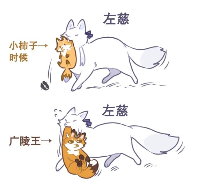 师尊真的还要这样吗被拖了一路的广回去发现皮谷上的毛秃了一块代号鸢 ​​​