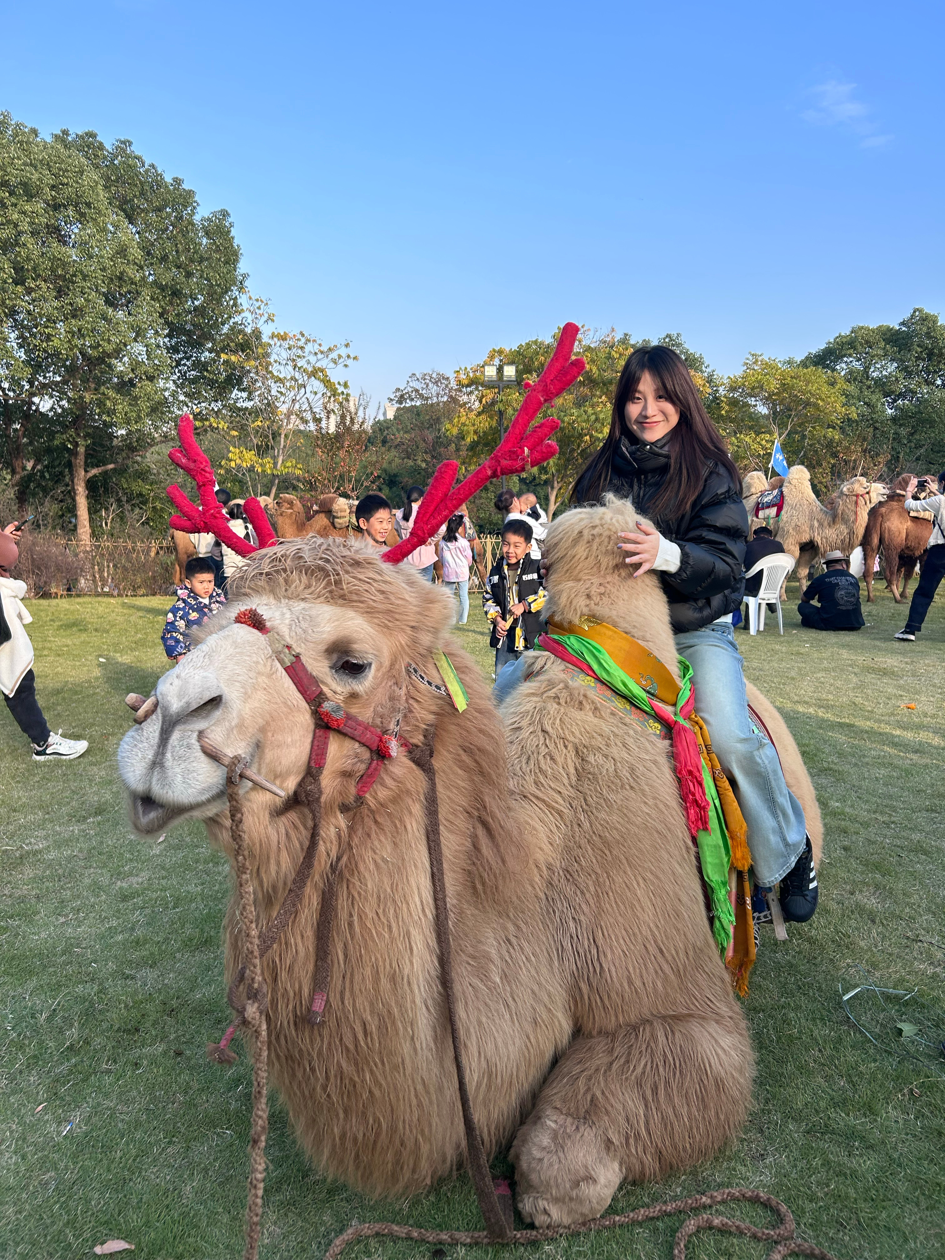 圣诞小麋骆驼🐫 