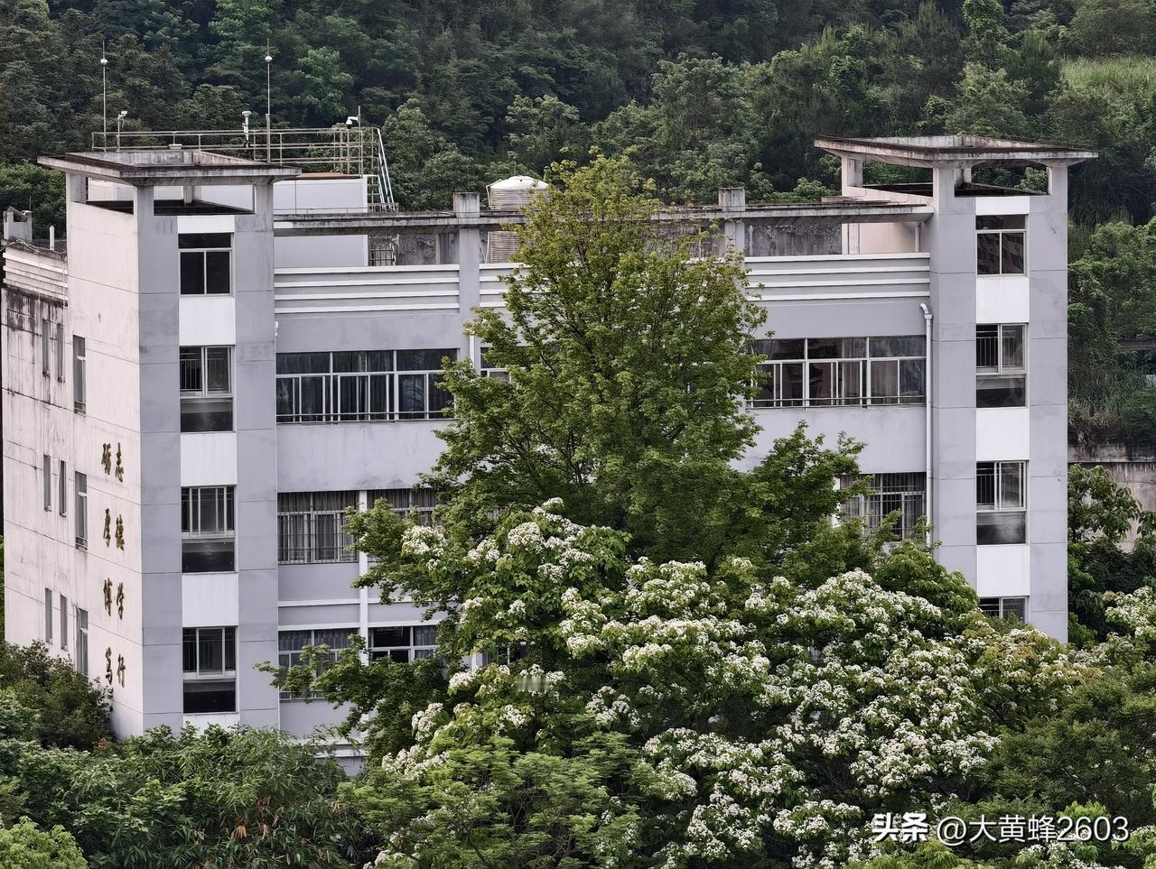 窗外皆美景，五一假期快乐、