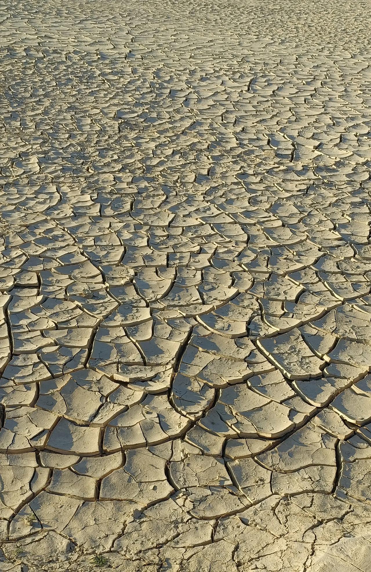 西北气候干旱、土地贫瘠，风沙肆虐，我从起初的对抗、旅者心态到今天深深地爱上这片黄