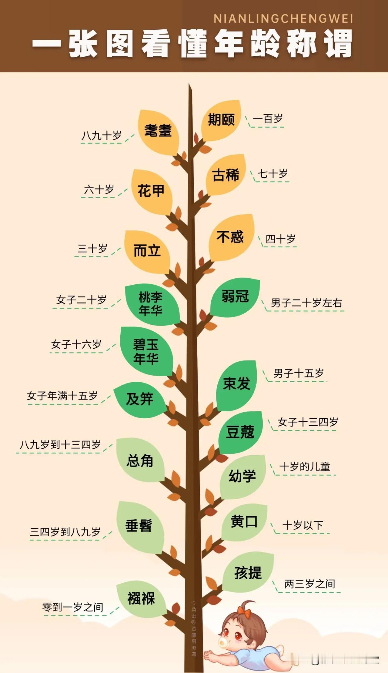收藏！年龄背后的风雅称谓，你知道几个？