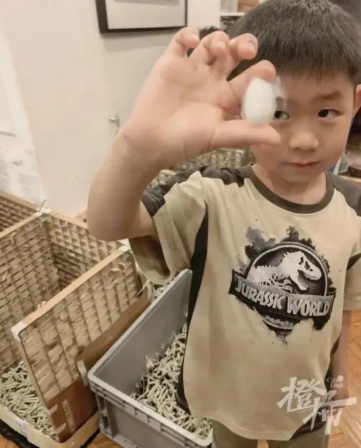 6岁娃随口一句想盖蚕丝被，老爸直接豪掷万粒蚕卵！结果现在全家被1.2万条蚕“绑架