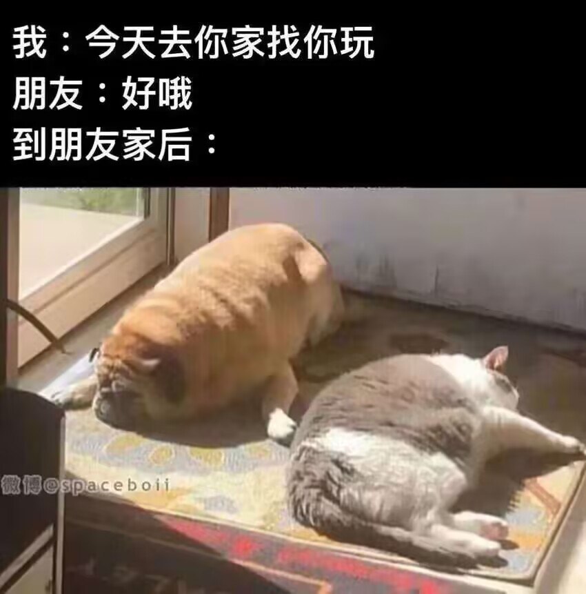 先出来再说 