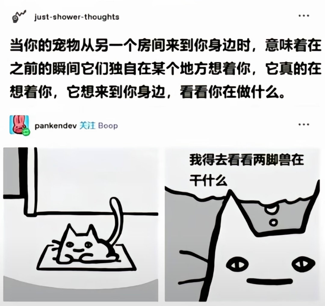 陪着你，爱着你，常常想起你 