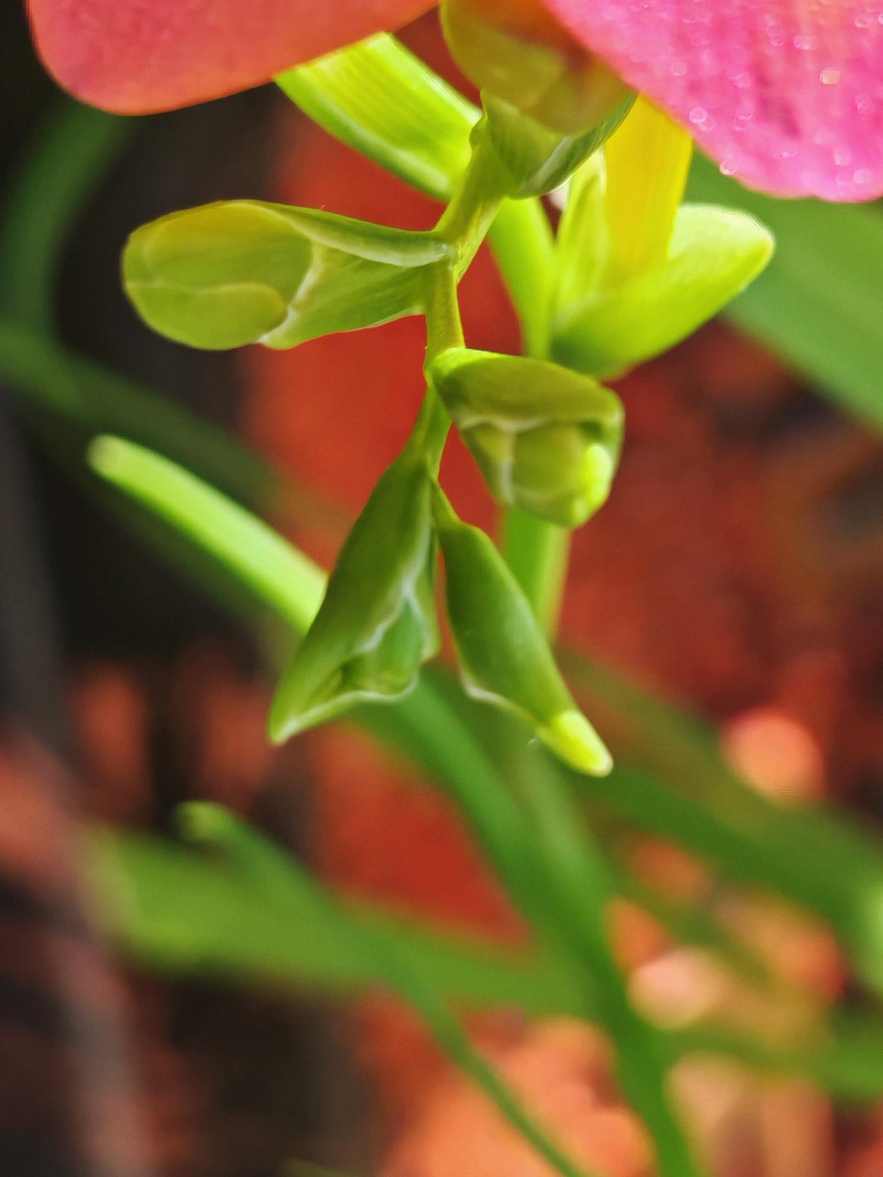 与痛风斗争的历程190
 
   昨天值班住在单位，睡眠比之前好了一些，只是依旧