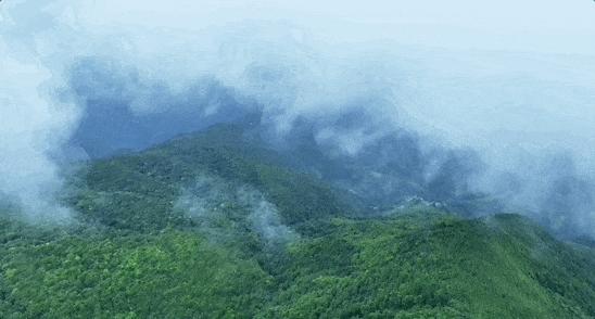 守护边关，哀牢山
险境上的边防战士
中越边境，森林里就是危险重重
翻译等彝语，是
