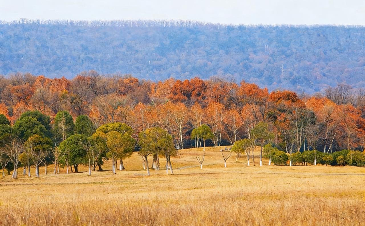 分享一下你随手拍下的照片