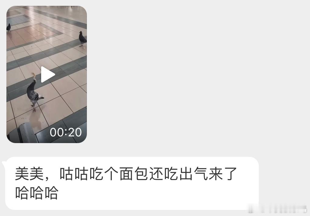 暴躁的咕咕🙊 ​​​