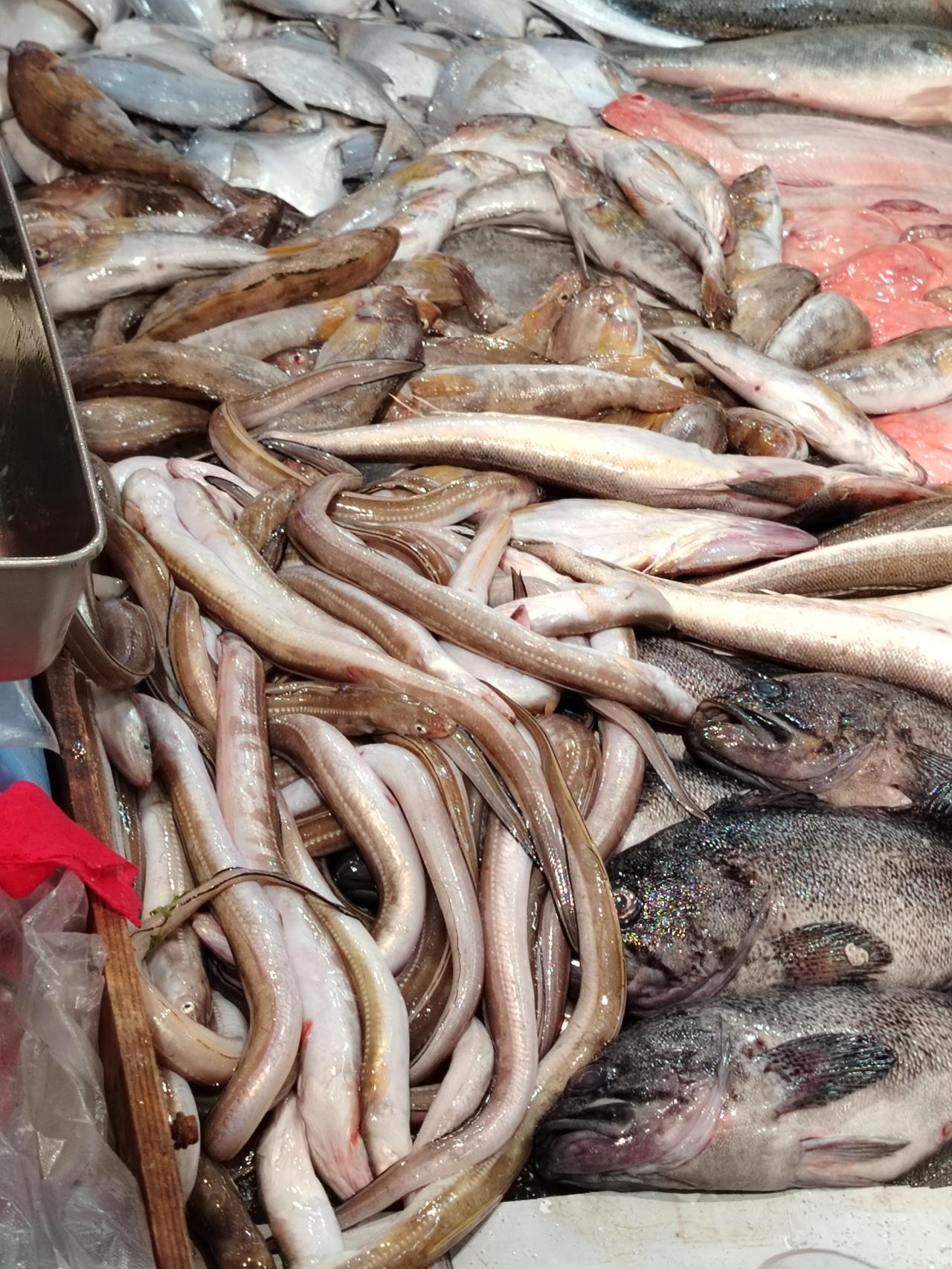 这位老师真是日照通，也不是头一次来日照吧。感动感谢您对日照印象全身心满满。今日头