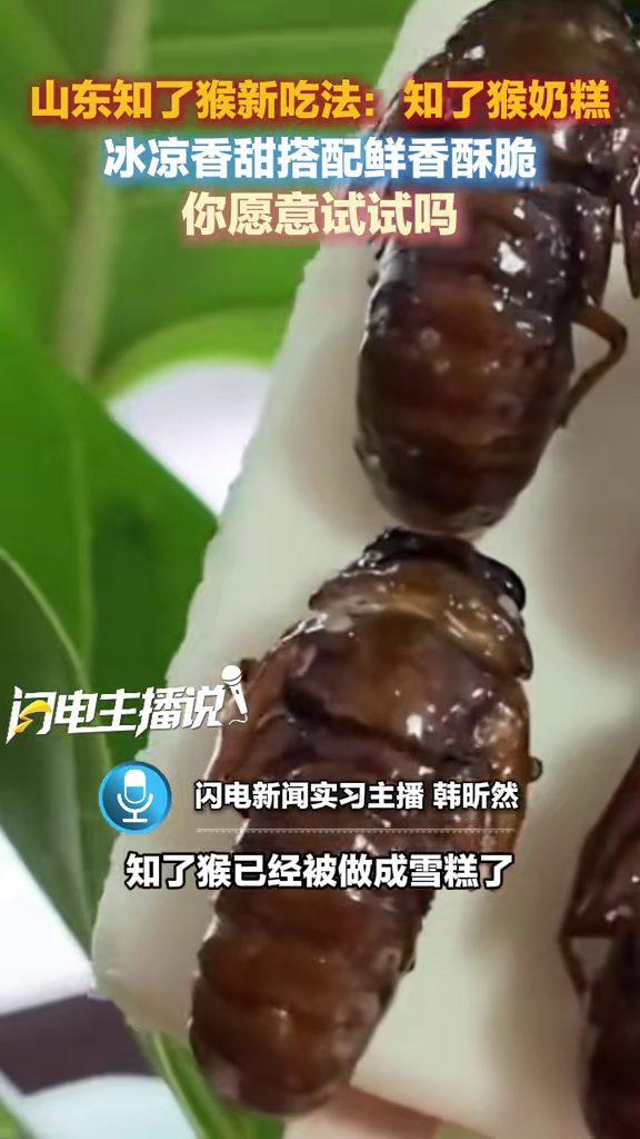 山东临沂一家雪糕厂把炸好的知了猴放上纯奶冰糕，做成“知了猴雪糕”。冰凉奶香撞上鲜