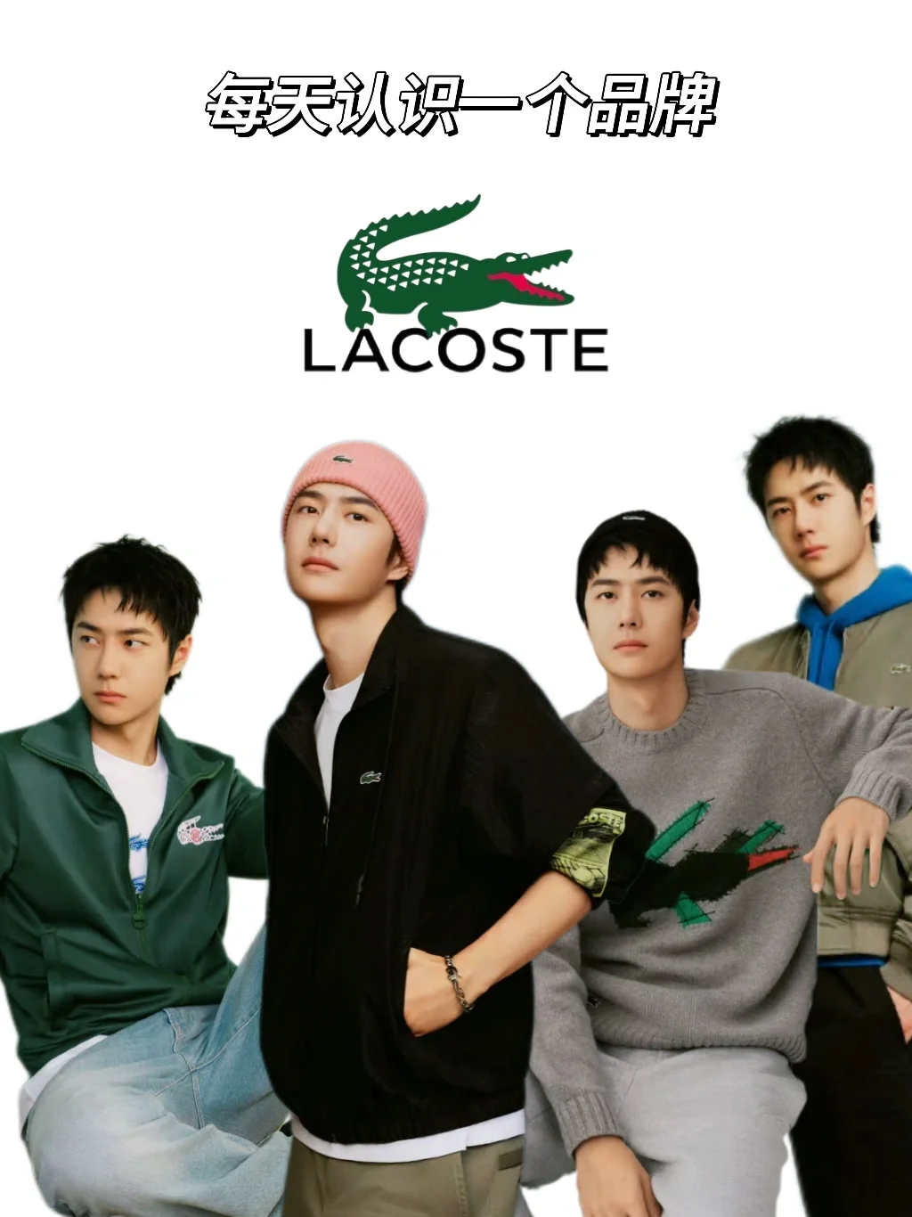 每天认识一个品牌 | Lacoste 🐊优雅而经典