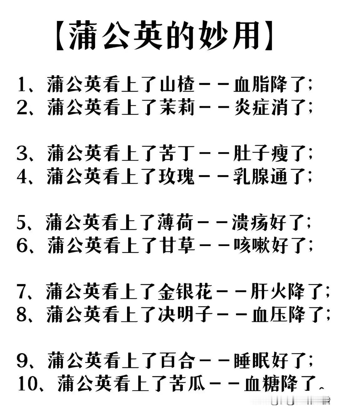 蒲公英，这朵看似平凡的小花，却隐藏着无尽的养生奥秘。今天，就让我们一起探索蒲公英