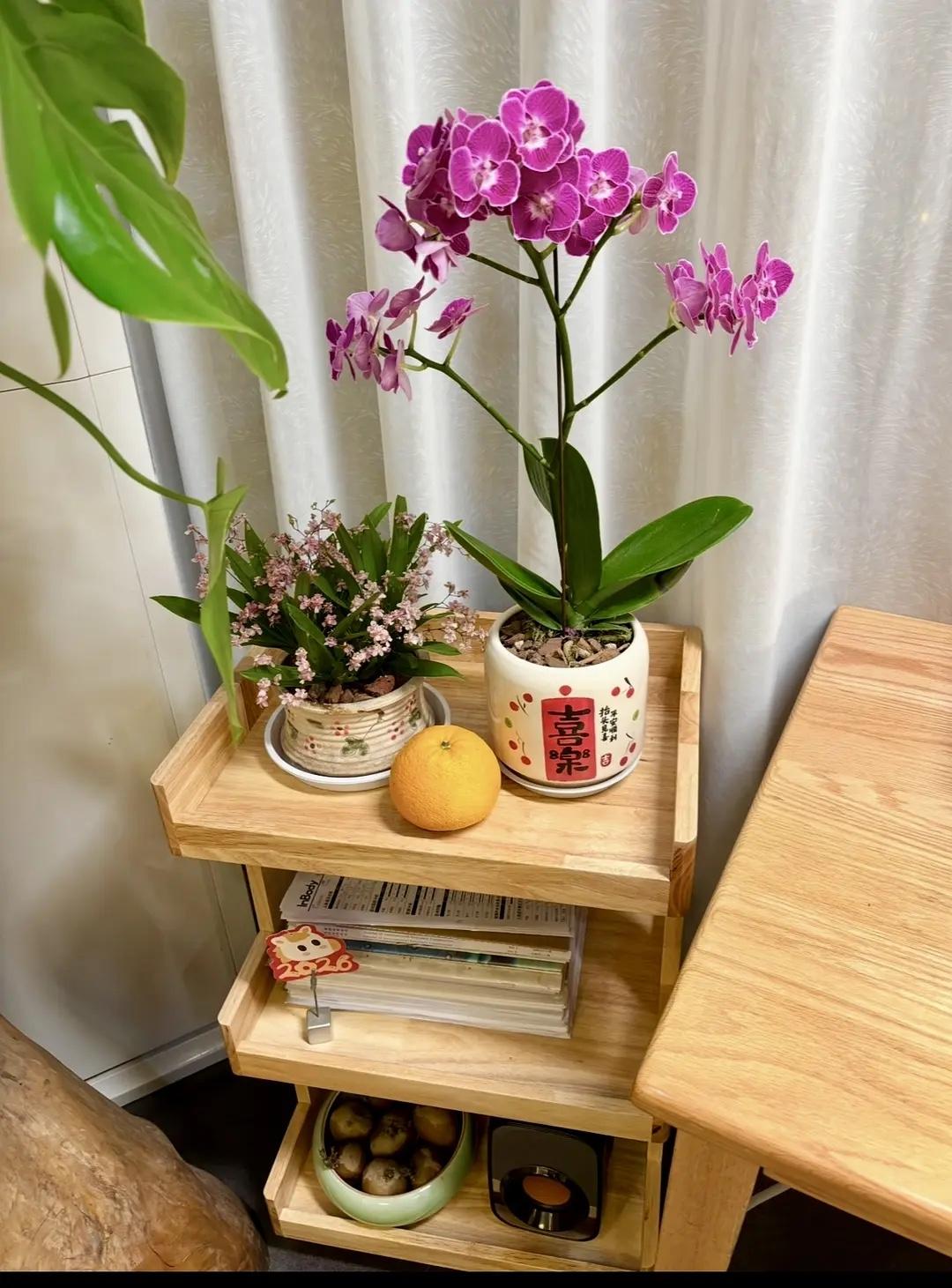 小学一走就是一天，
初中一走就是一周，
高中一走就是一个月，
大学一走就是半年，