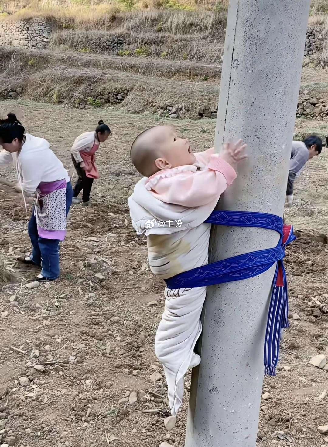 人这一辈子到底为了什么 