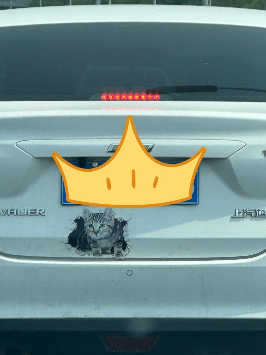 这小猫贴画还挺真，吓我一跳 ​​​