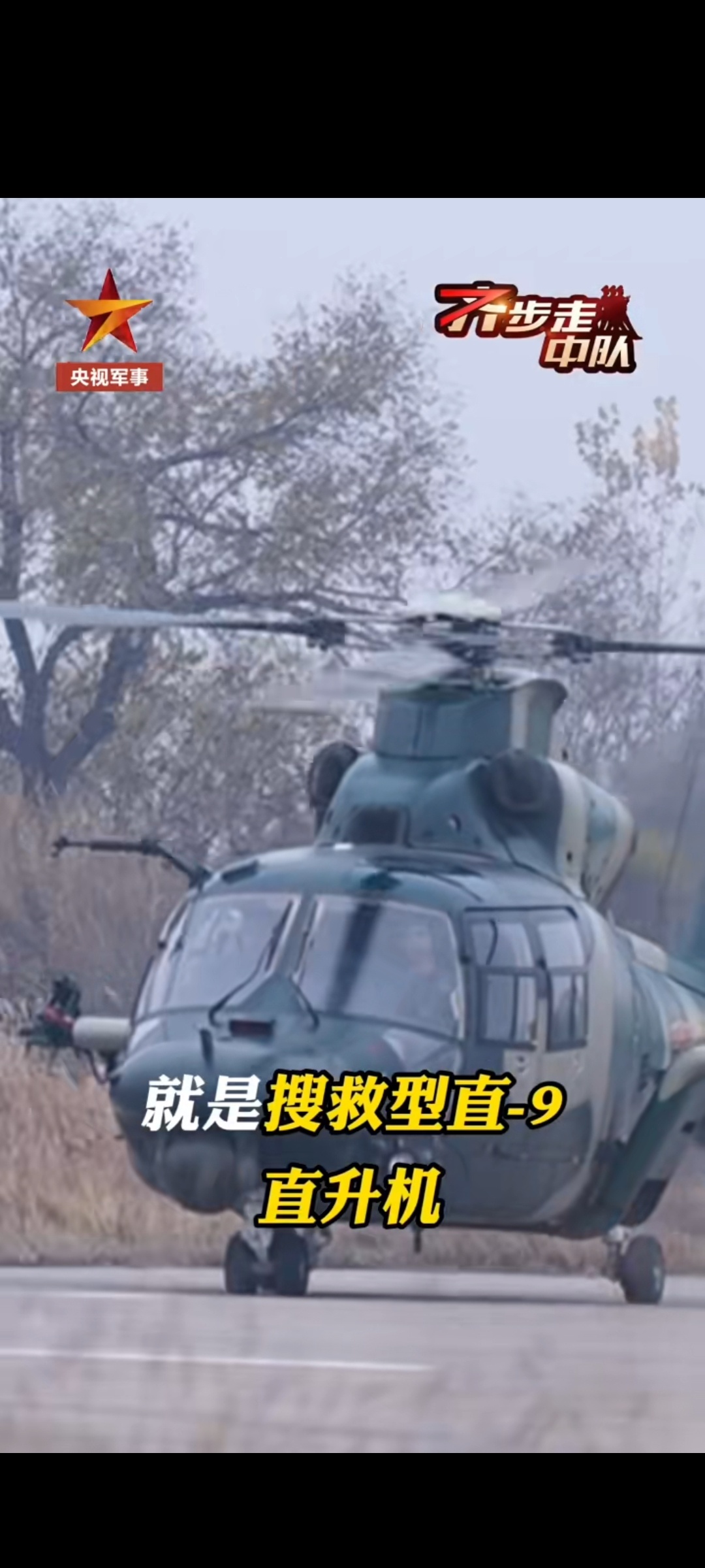 中空运搜的两型直9 