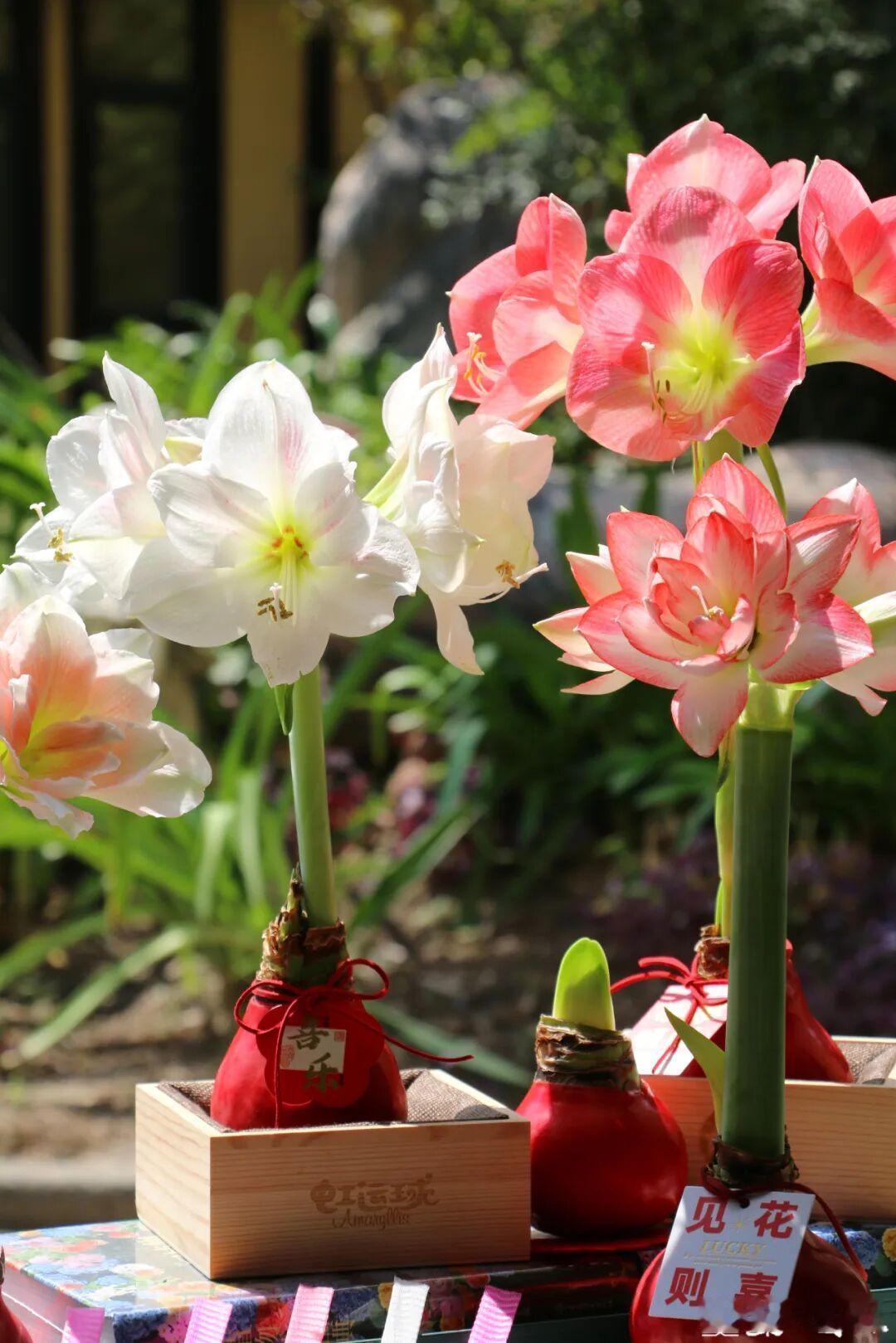 全职太太11年遭出轨净身出户：“我养你”最毒的情话
 
刷到全职太太杨女士的遭遇